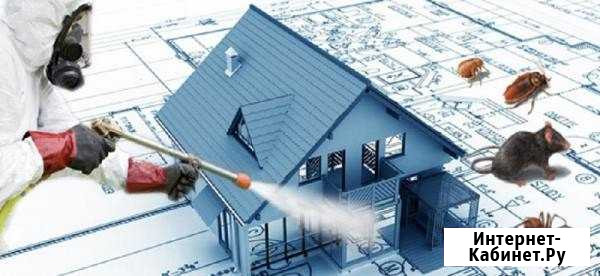 Клопов И тараканов нет. Травка насекомых Петропавловск-Камчатский - изображение 1