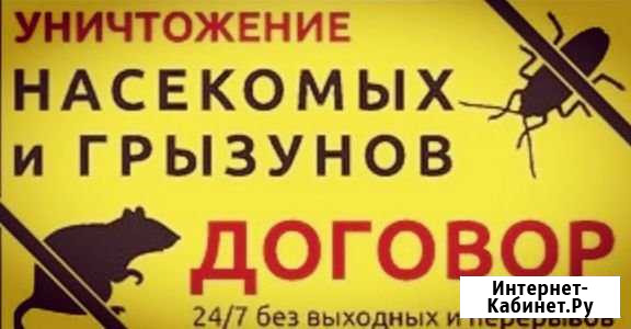 Санобработка Тольятти - изображение 1