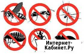 Уничтожение тараканов,клопов,муравьёв и тд Пермь - изображение 1