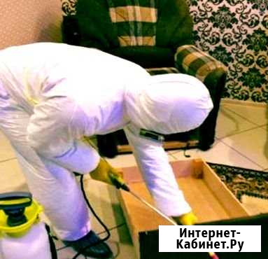 Уничтожение клопов, тараканов, клещей. Туманом Севастополь - изображение 1