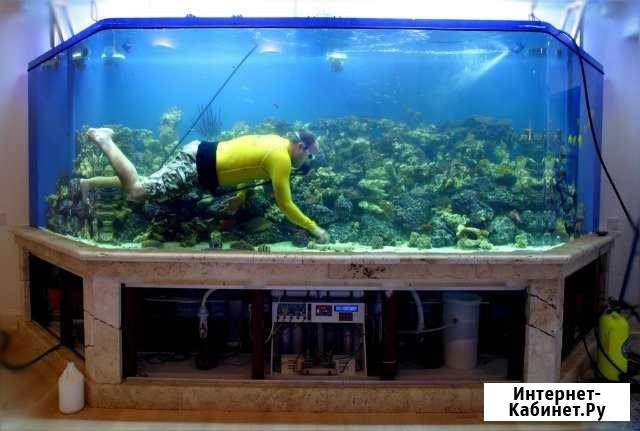 Обслуживание морских и пресноводных аквариумов Ханты-Мансийск - изображение 1
