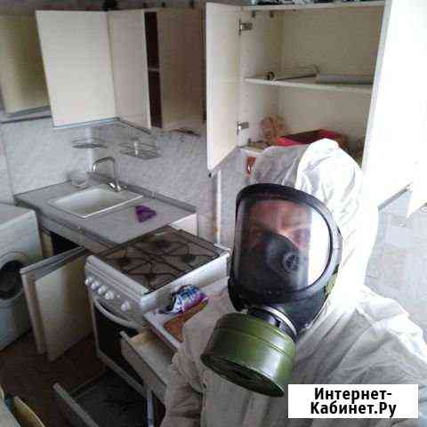 Дезинсекция от тараканов, клопов и т.д с гарантией Самара