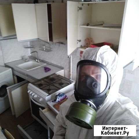 Дезинсекция от тараканов, клопов и т.д с гарантией Самара - изображение 1