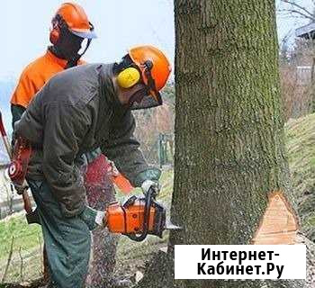Спил деревьев. Вырубка кустарника. Арборист Смоленск - изображение 1