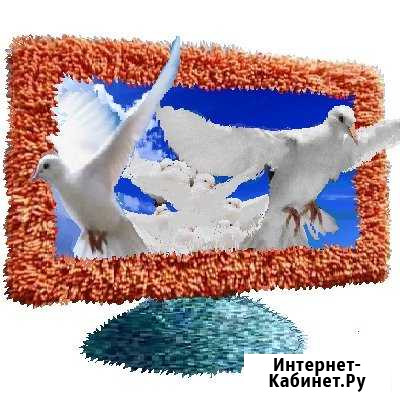 Телевизоры Ремонт Нижний Новгород Нижний Новгород - изображение 1