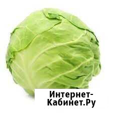 Капуста Глазов - изображение 1