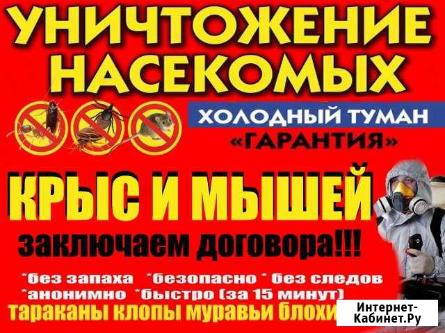 Уничтожение Клещей клопов тараканов муравьёв мышей Красноярск - изображение 1