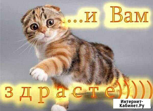 Уход за домашними питомцами Советская Гавань - изображение 1