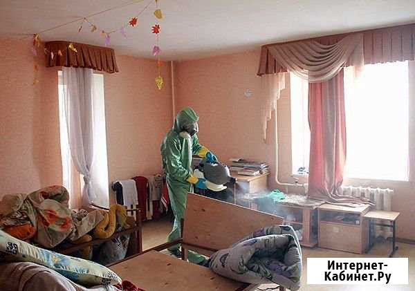 Уничтожение Насекомых Клопов Тараканов Муравьёв Красноярск - изображение 1