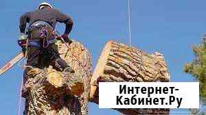 Спил деревьев Тула