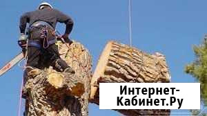 Спил деревьев Тула - изображение 1