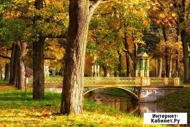 Фотограф Санкт-Петербург - изображение 1