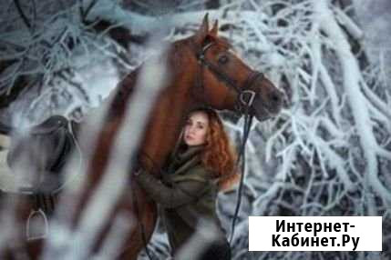 Прокат лошадок Новоалтайск - изображение 1