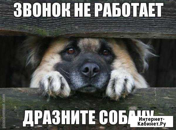 Ремонт домофонов Тверь - изображение 1
