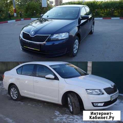 Автомобили в аренду skoda rapid, skoda oktavia Санкт-Петербург - изображение 1