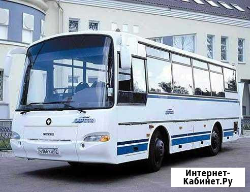 Пассажирские перевозки Ульяновск - изображение 1