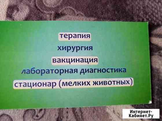 Консультация ветеринарного врача Барнаул