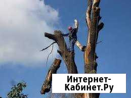Спил деревьев итогдалие Майкоп - изображение 1