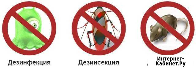 Дезинсекция, дератизация Уфа - изображение 1
