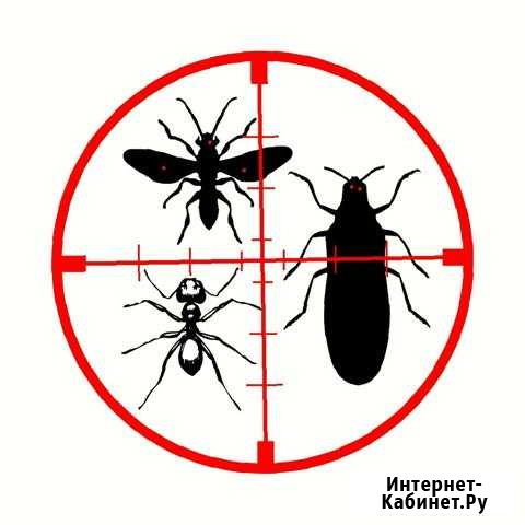 Уничтожение клопов, блох, тараканов, грызунов Владимир - изображение 1