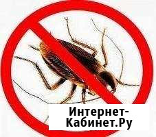Уничтожим Клопов (любых насекомых) микрокапсуляция Куйбышев - изображение 1
