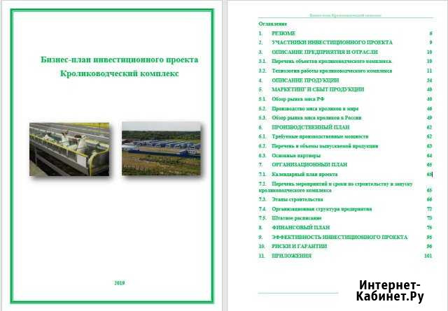 Бизнес-планы любой сложности, опыт более 10 лет Иркутск - изображение 1
