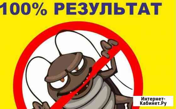 Уничтожение клопов тараканов клещей и комаров Уфа