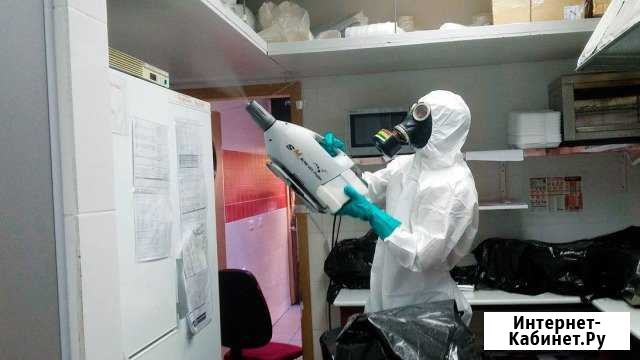 Уничтожение клопов, тараканов и других насекомых Барнаул - изображение 1