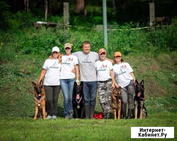 Школа дрессировки собак CityDog38 Ангарск - изображение 1