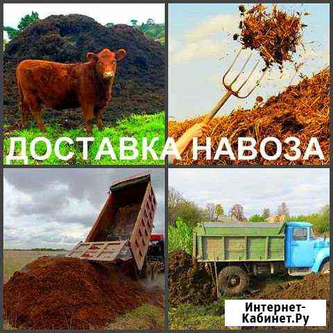 Навоз, доставка Орёл