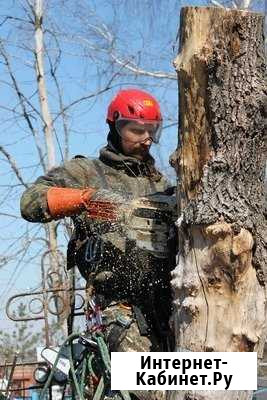 Спилить дерево, обрезать ветки, Казань, Зеленодоль Зеленодольск - изображение 1