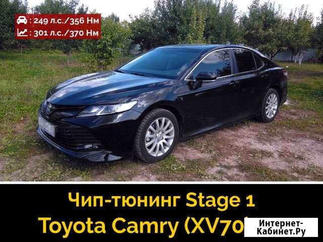 Чип-тюнинг, удаление катализатора, DPF (FAP), EGR Воронеж - изображение 1
