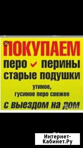 Пух перо Валуйки - изображение 1
