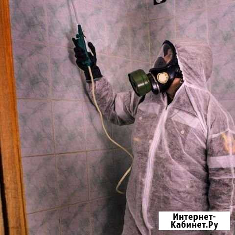 Уничтожение тараканов клопов, плесени с гарантией Москва - изображение 1
