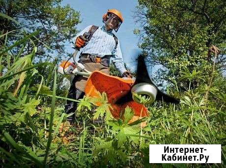 Дробилка деревьев, спил, покос травы, покос поросл Краснодар - изображение 1