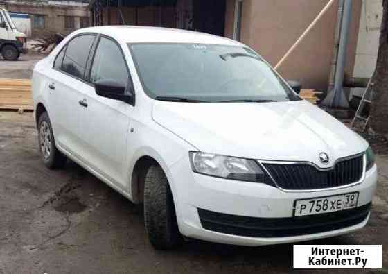 Сдам в аренду шкоду рапид Калининград