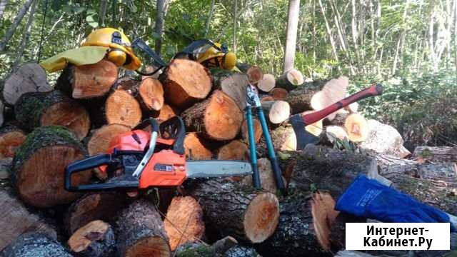 Покос травы и кустарника, вырубка деревьев Сочи - изображение 1
