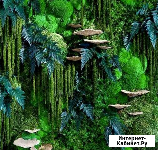 Вертикальное озеленение мхом и растениями Курск - изображение 1