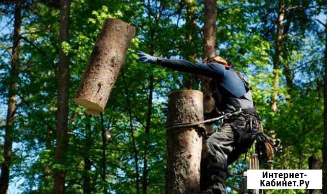 Спил деревьев частями (кронирование) Углич - изображение 1