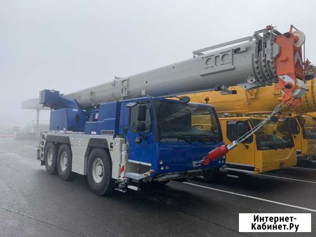 Аренда автокрана 160, 250 тонн Тамбов - изображение 1