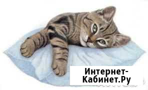 Чистка и реставрация подушек, перин и одеял Троицк - изображение 1
