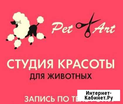 PetArt. Студия красоты для животных в Вологде Вологда - изображение 1