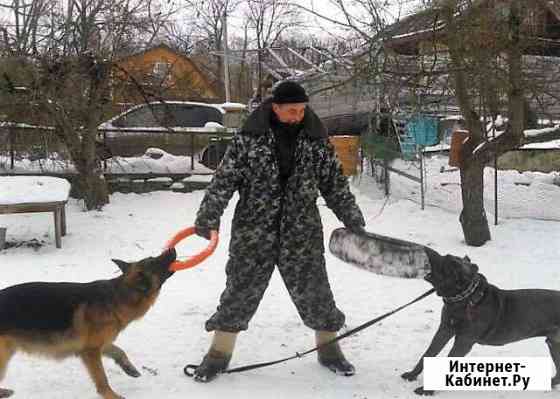 Дрессировка собак окд,угс Казань