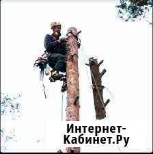 Спил деревьев,корчевка пней,слом строений,вывоз Таганрог