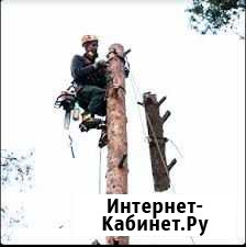 Спил деревьев,корчевка пней,слом строений,вывоз Таганрог - изображение 1