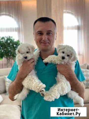 Ветеринар на дом Уфа - изображение 1