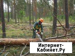 Лесозаготовка Кунгур - изображение 1