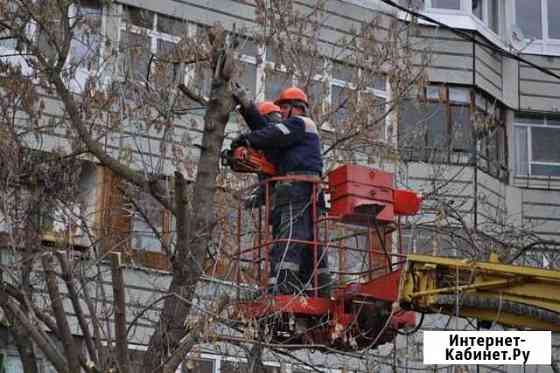 Услуги спецтехники: автовышки, погрузчики и др Новосибирск
