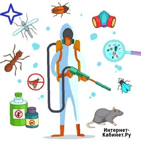 Уничтожение плесени насекомых грызунов Владивосток - изображение 1