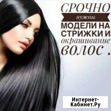Требуются модели на бесплатные стрижки и окрашиван Новомосковск - изображение 1